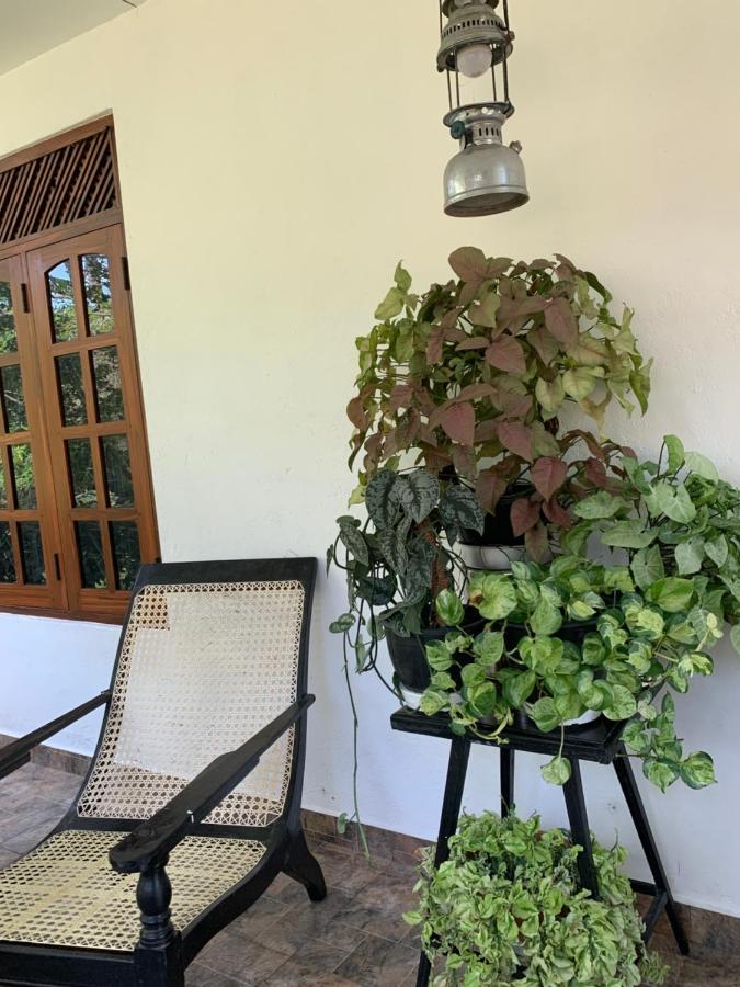 Tranquil Private Villa Near Bentota Beach Екстериор снимка