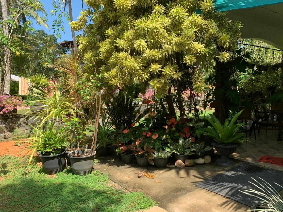 Tranquil Private Villa Near Bentota Beach Екстериор снимка