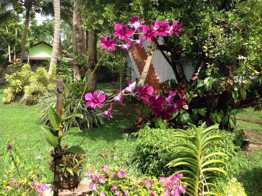 Tranquil Private Villa Near Bentota Beach Екстериор снимка